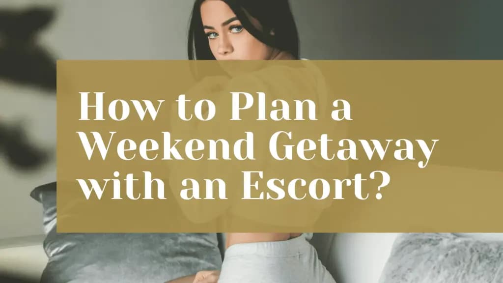 Sheffield After Dark: The Best Places to Take an Escort for a Naughty Night Out